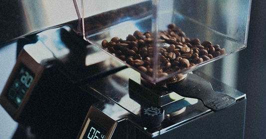 ディカフェコーヒーの製造方法